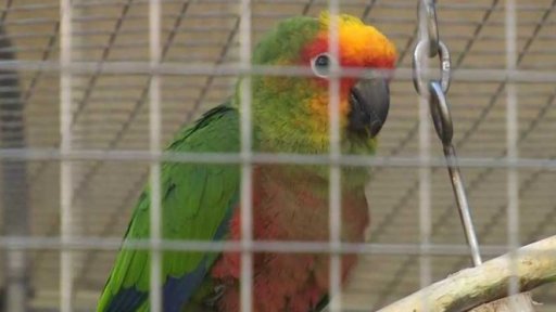 Den Země v bošovické zoo