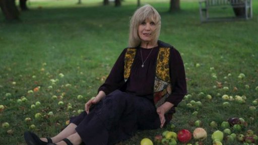 Profil: portrét Jitky Molavcové