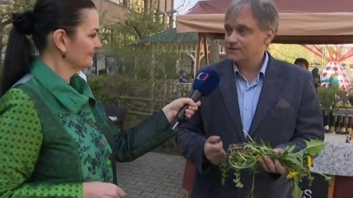 Bylinkový den v zemědělském muzeu