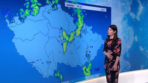 Zpravodajský servis