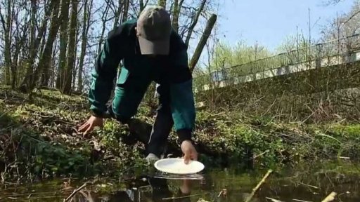 Vyšší aktivita komárů