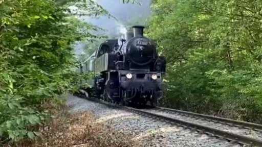 Týden očima iReportéra