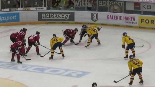 Zpravodajský servis