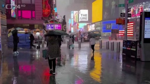 Zpravodajský servis