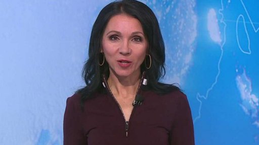 Zpravodajský servis