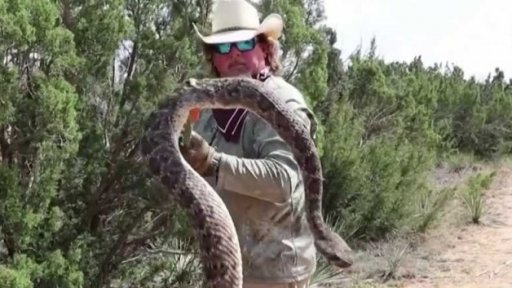 Lov chřestýšů v Texasu