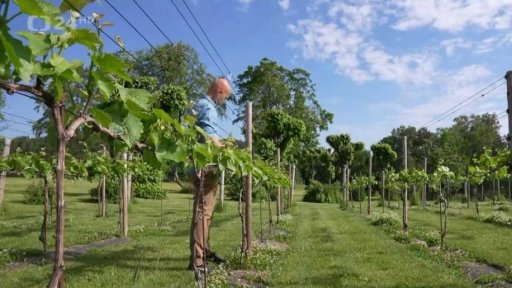 Norsko a vinařství ve světle změny klimatu + rozhovor s M. Trnkou