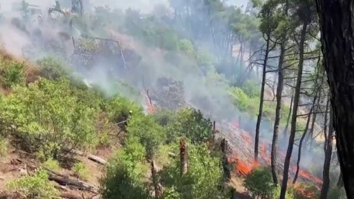 Lesní požáry ničily i Sýrii