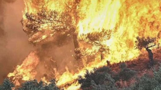 S řeckými požáry bojují i čeští hasiči