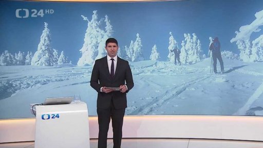 Stručný přehled zpráva