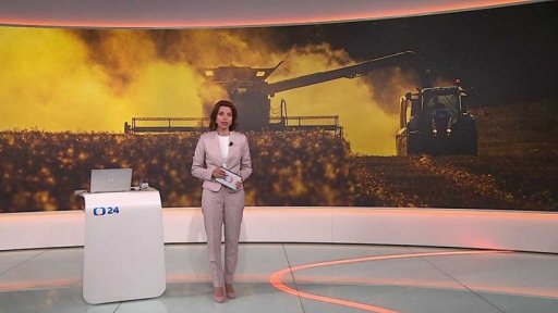 Stručný přehled témat