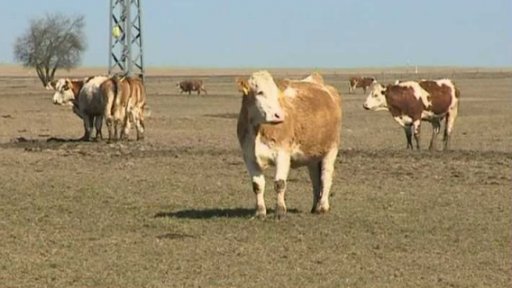 Situace velkých a malých zemědělců