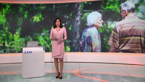 Stručný přehled témat