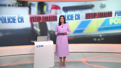 Stručný přehled témat