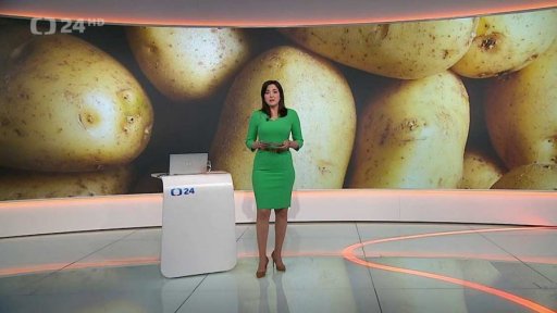 Stručný přehled témat