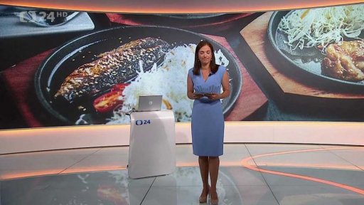 Stručný přehled témat