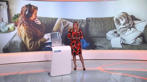 Stručný přehled témat