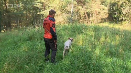 Kynologové byli připraveni k nasazení v Maroku, nakonec nejeli