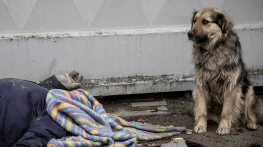 Fotografie: Czech Press Photo zná své vítěze