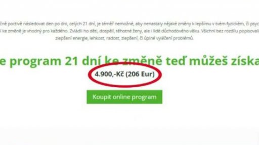 Dezinformátoři jako podnikatelé