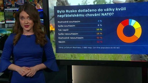 Češi a dezinformace