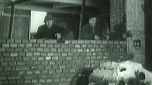 Rolníci ve Stružinci chtějí žít lépe (1953)