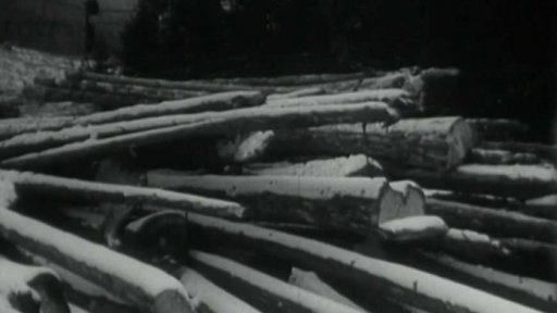 Jednoduchá lanovka pro dopravu kmenů (1960)