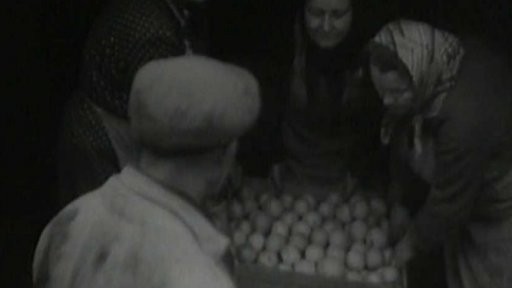 Pražský vánoční trh (1953)