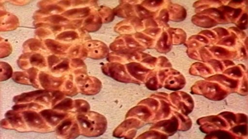 Pravý beskydský bandur (1983)