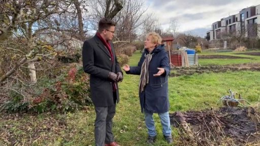 Příroda a počasí