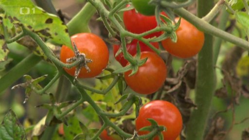 Komunitní centrum Kotlaska