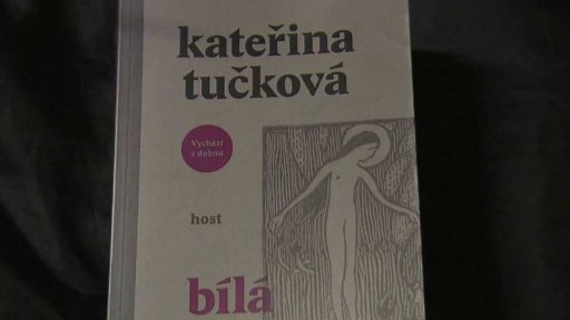 Nejprodávanější román loňského roku