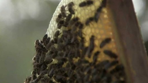 Film Všechno dobře dopadne v kinech