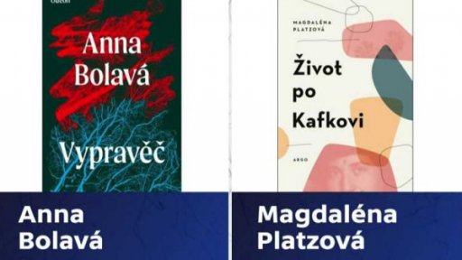 Nominace na Magnesii Literu