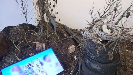 Zorka Ságlová v Galerii Václava Špály