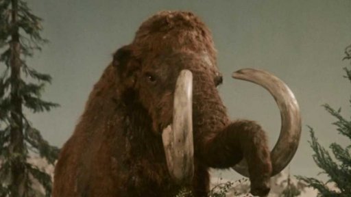 Cesta do pravěku v knize