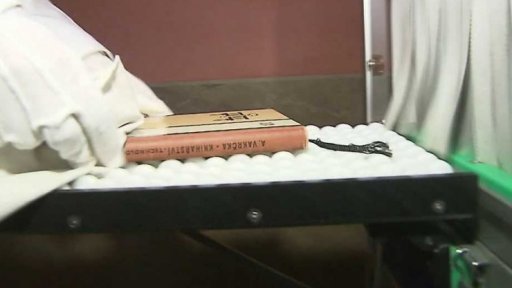 Záchrana ukrajinských knih