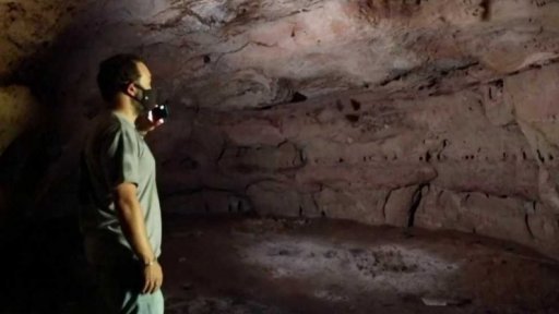 Netopýři a hrozba šíření nemocí