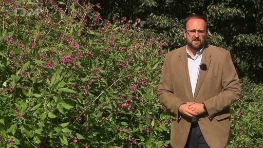 Šíření invazních druhů