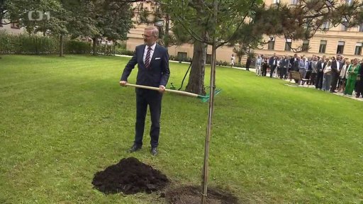 Malostranské korekce