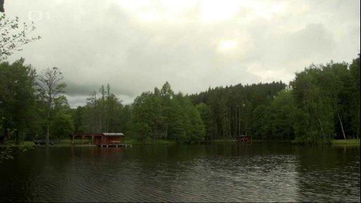 Jak vypálit rybník