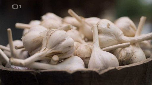 Regionální okénko: SZIF-Česnek