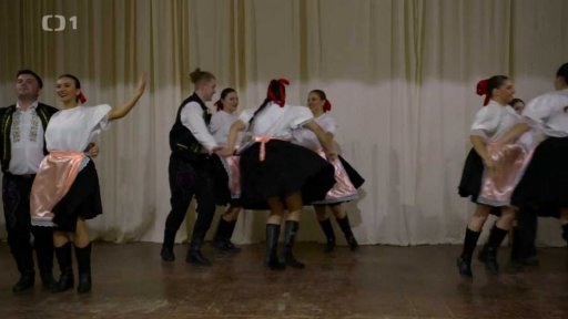 Slavnost Den imigrantů