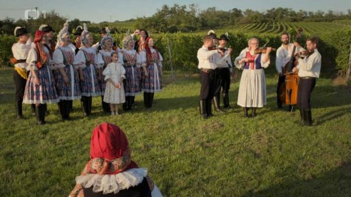 Folklorní soubor Svodnica