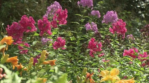 Botanická zahrada v Bečově nad Teplou