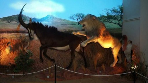 Africké muzeum Dr. Emila Holuba