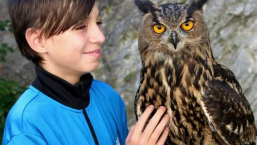 Sokolnické lovy na Sovinci