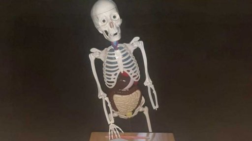 Halloween na zámku Toužim