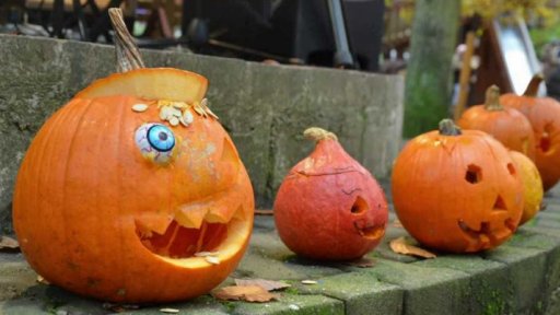 Strašidelná zoo v Děčíně