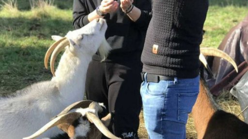 Návštěvní den v kozím útulku